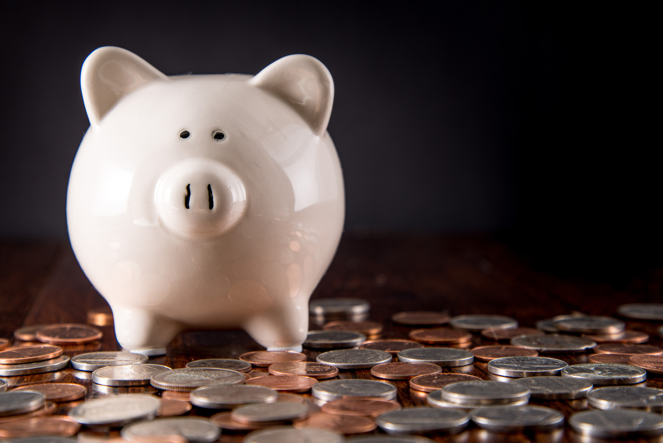 Back to the Investment Basics